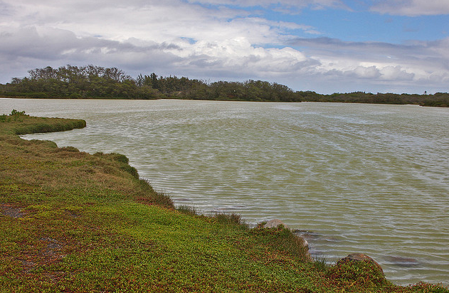 Kanaha Pond and Wildlife Refuge